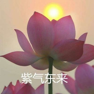 使徒幻想百度版下载